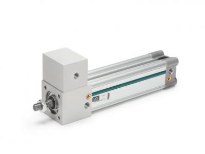 Vesta Pneumatic Cylinder RW Series